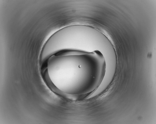 X0000091930803200709121558