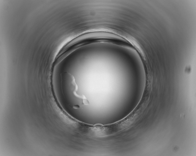 X0000091930805200709121558