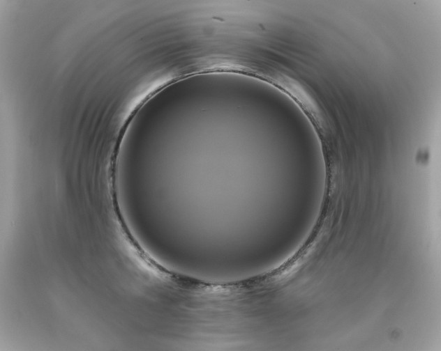 X0000091930806200709121558