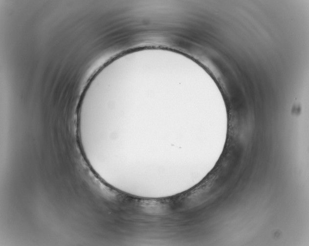 X0000091930807200709121558