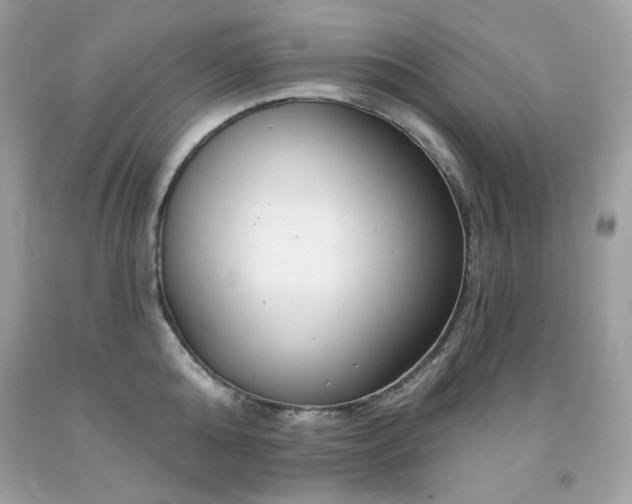 X0000091930808200709121558