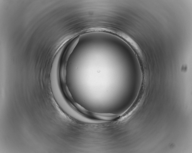 X0000091930809200709121558