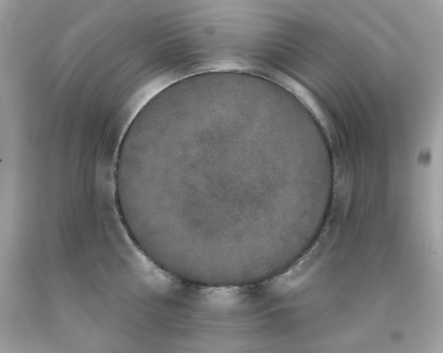 X0000091930810200709121558