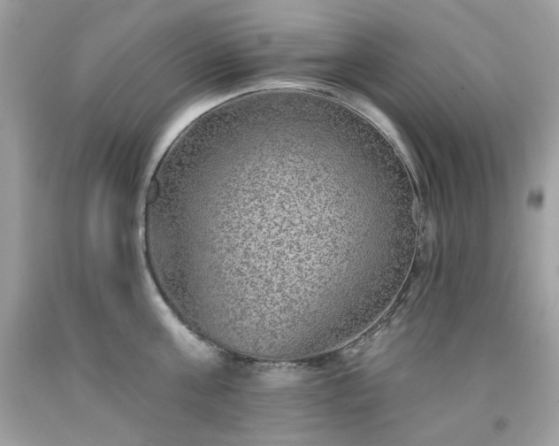 X0000091930811200709121558