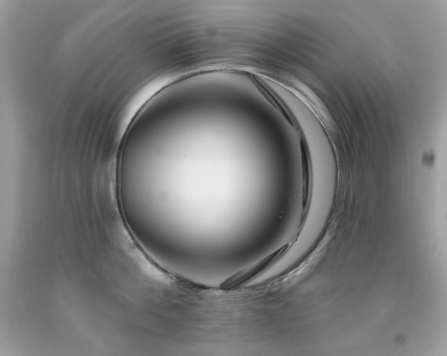 X0000091930812200709121558