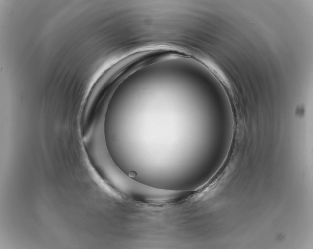 X0000091930813200709121558
