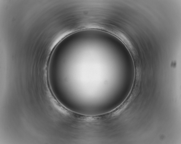 X0000091930814200709121558