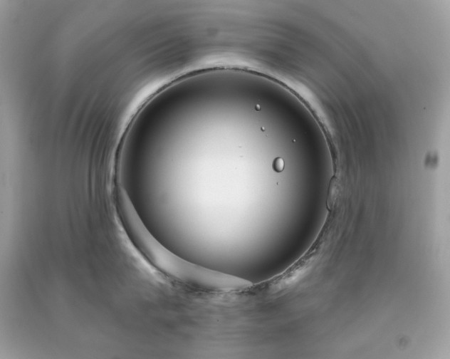 X0000091930815200709121558