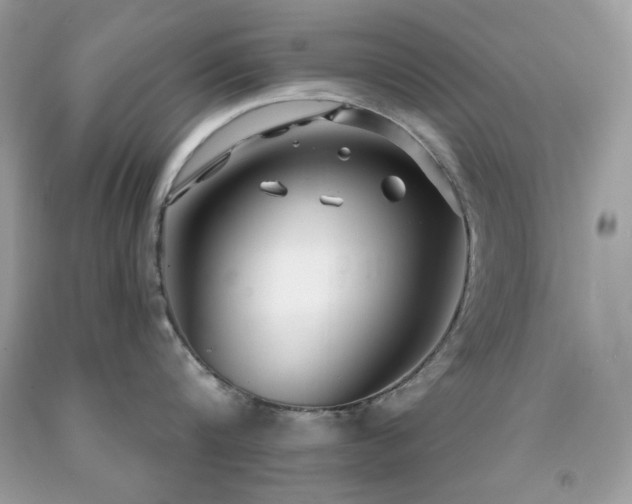 X0000091930816200709121557