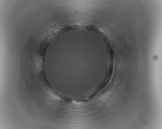X0000091930818200709121557