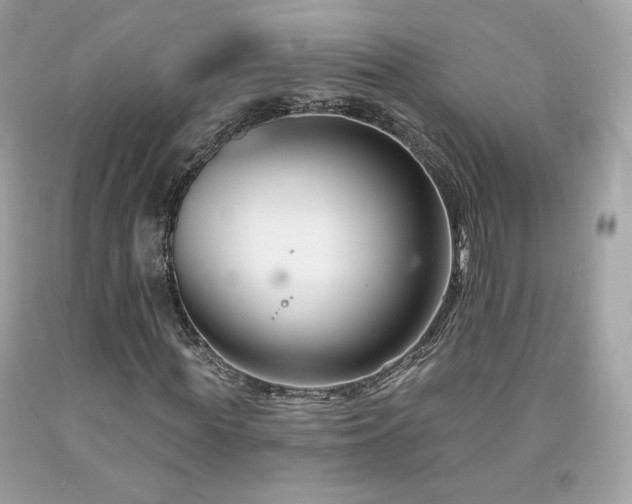 X0000091930819200709121557