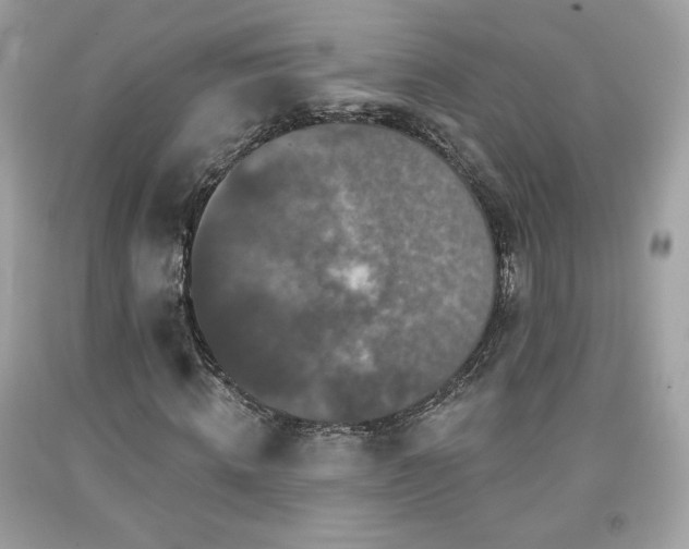 X0000091930820200709121557