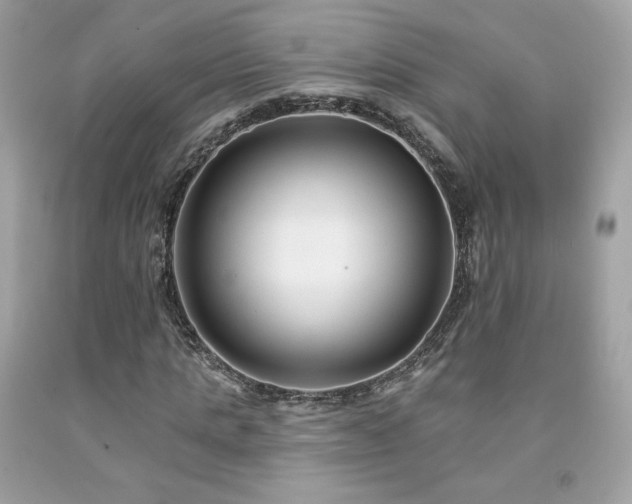X0000091930821200709121557