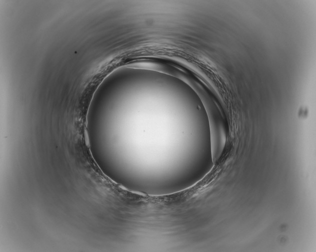 X0000091930822200709121557