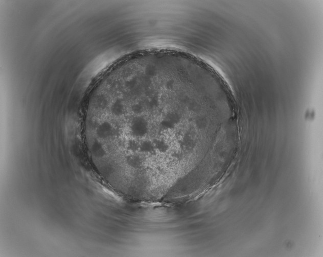 X0000091930823200709121557