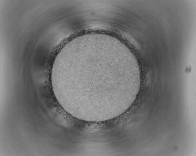 X0000091930824200709121557
