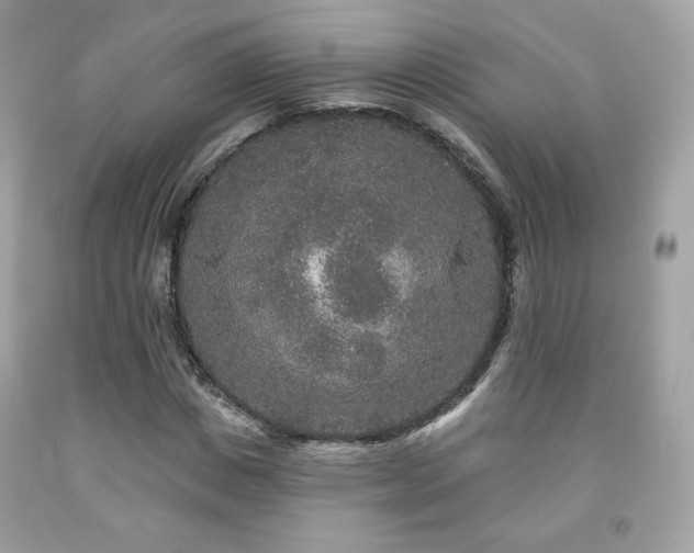 X0000091930825200709121557