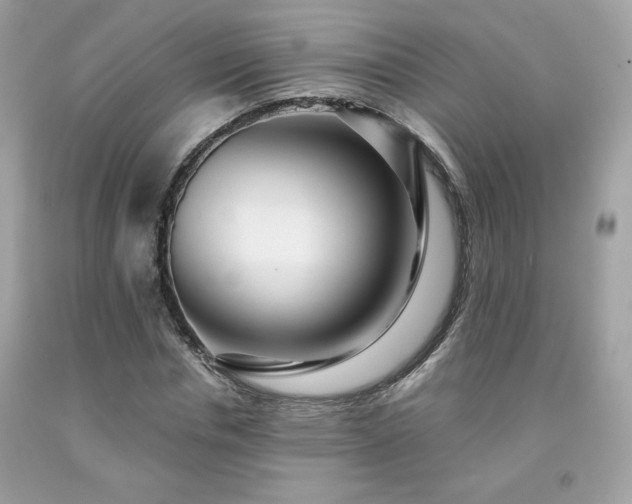 X0000091930826200709121557