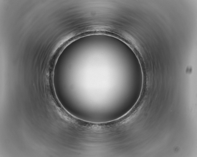 X0000091930827200709121557