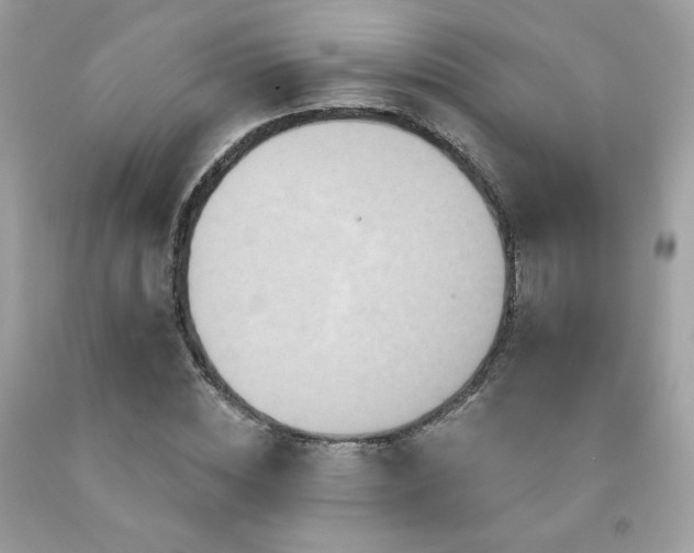 X0000091930828200709121557