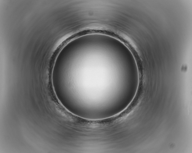 X0000091930829200709121557