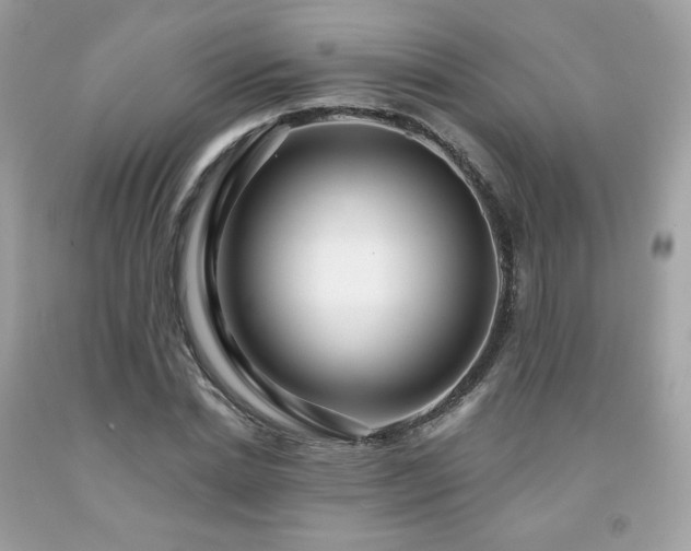 X0000091930830200709121557