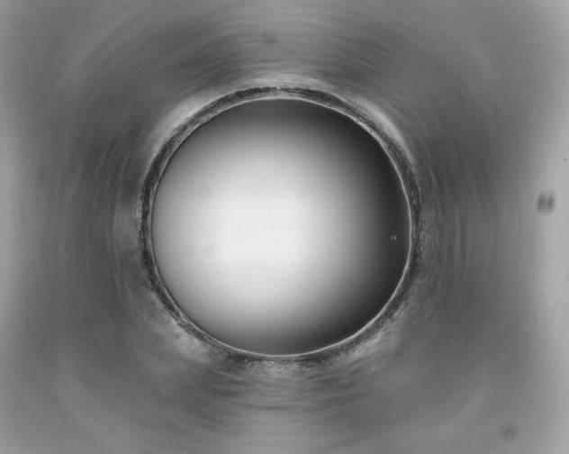 X0000091930831200709121557