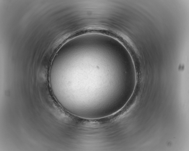 X0000091930833200709121557