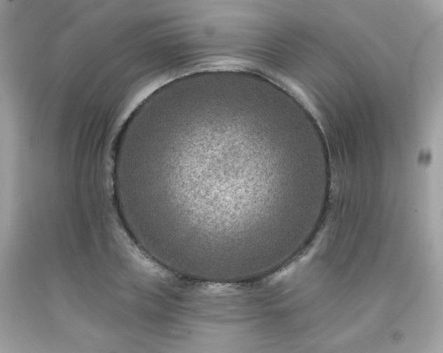 X0000091930835200709121557