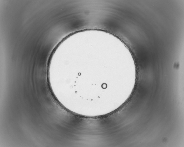 X0000091930836200709121557
