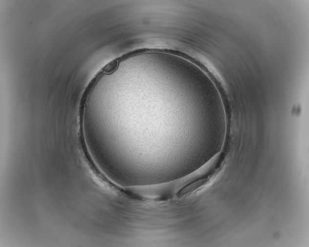 X0000091930837200709121557