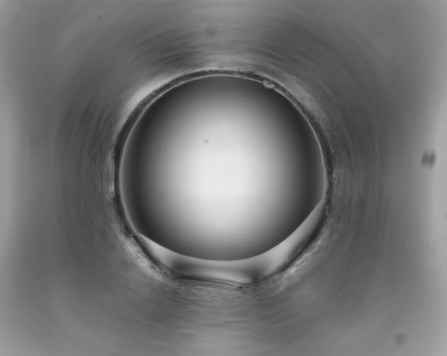 X0000091930838200709121557