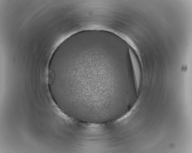 X0000091930839200709121557