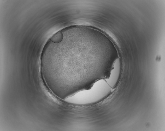 X0000091930840200709121557