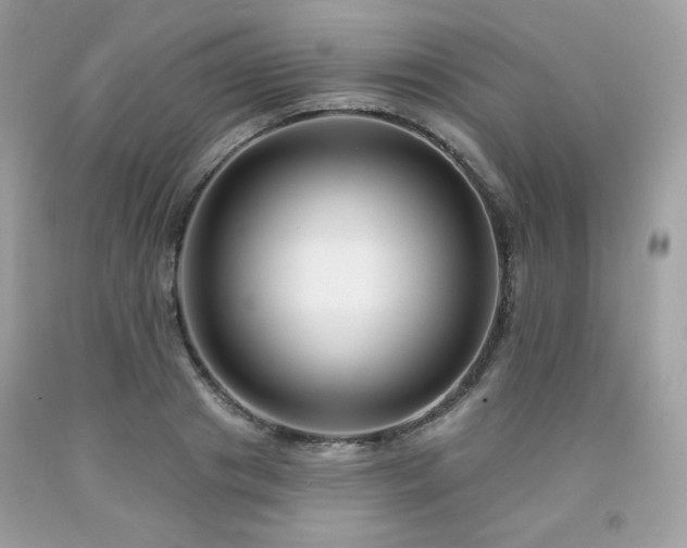 X0000091930841200709121557