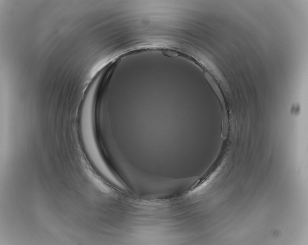 X0000091930842200709121557