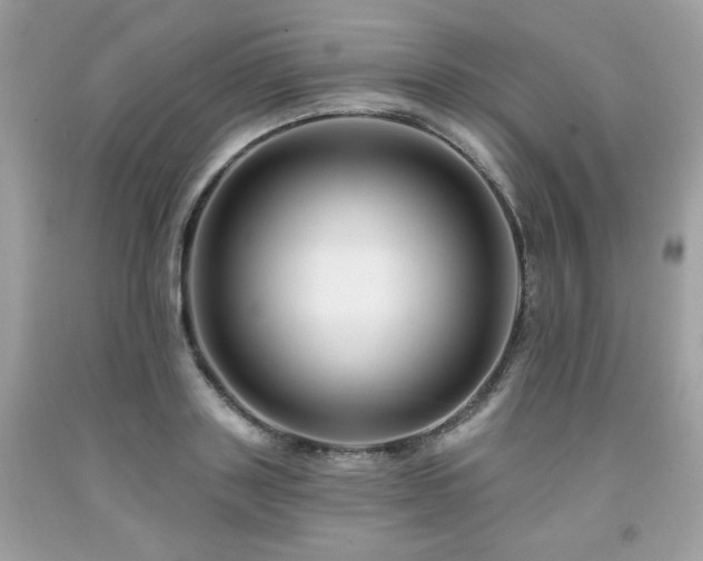 X0000091930843200709121557