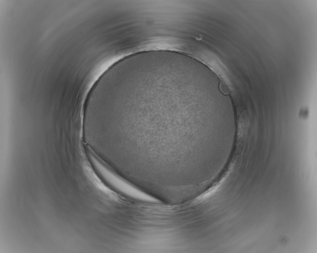 X0000091930844200709121557