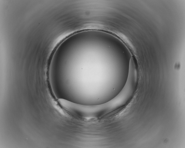 X0000091930846200709121557