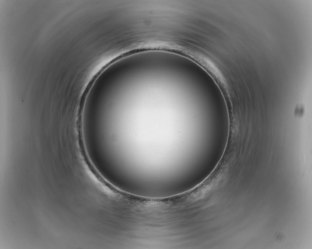 X0000091930847200709121557