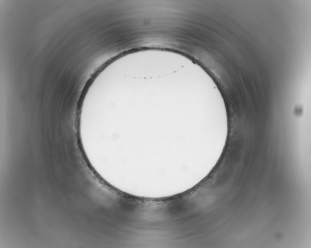 X0000091930848200709121557