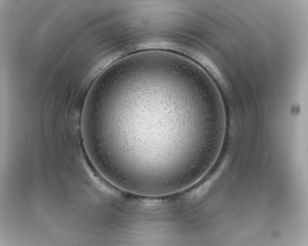 X0000091930849200709121557