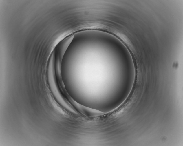 X0000091930850200709121557