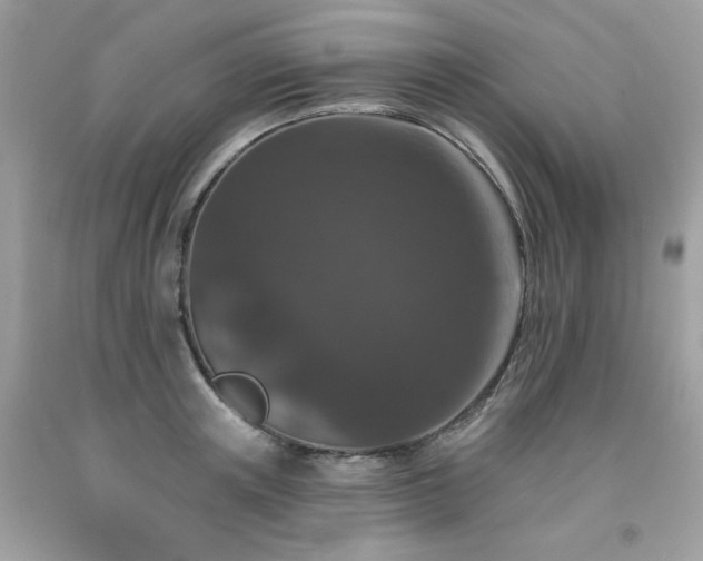 X0000091930851200709121557
