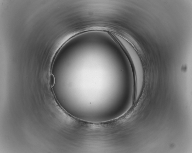 X0000091930852200709121557