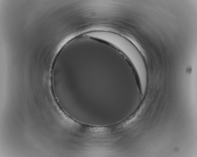 X0000091930853200709121557