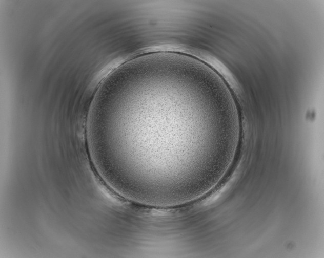 X0000091930857200709121557