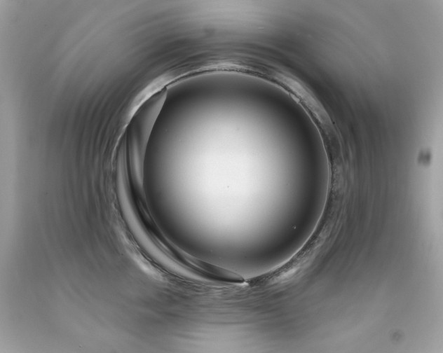 X0000091930858200709121557
