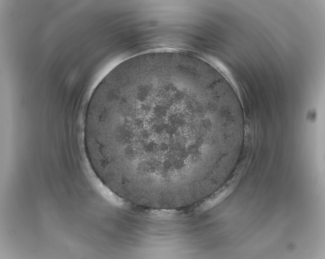 X0000091930859200709121557