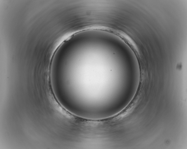 X0000091930860200709121557